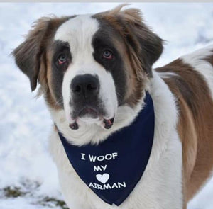 DOG BANDANA